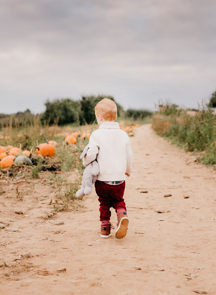 child family photographer southern new hampshire child family photographer southern new hampshire