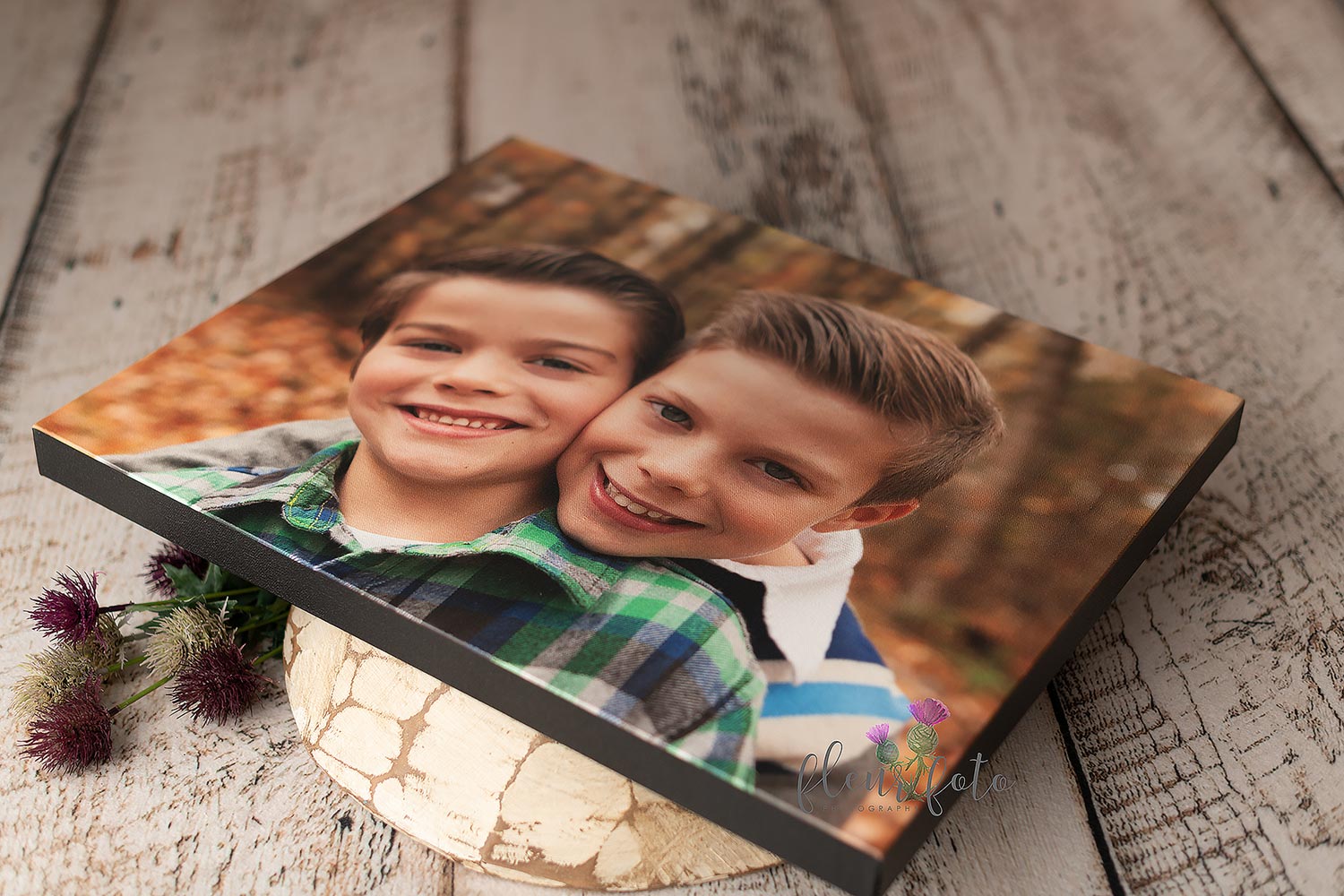 Fine Art Canvas Fine Art Canvas