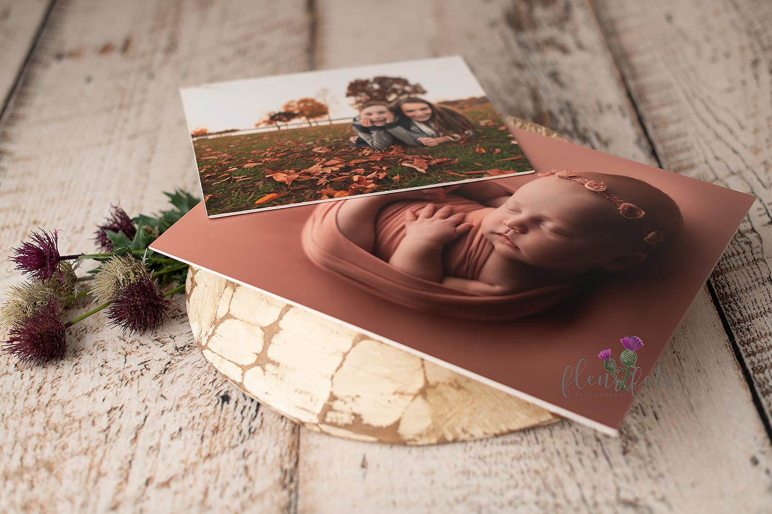 Mounted Prints Mounted Prints